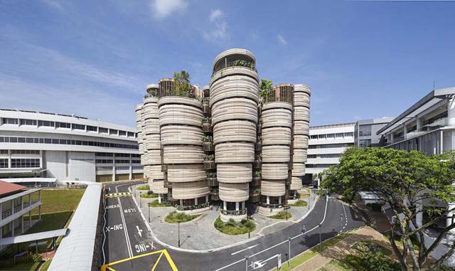 Universidad Tecnológica de Nanyang, Singapur (NTU). Centrada en la investigación, se queda en el puesto número 20. Su puntuación es de 81,3.