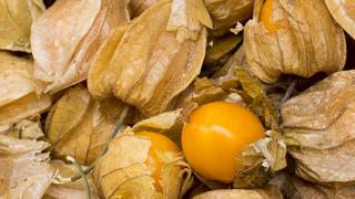 Tres nuevos cultivos peruanos ingresarán a EE.UU sin tratamiento contra mosca de la fruta