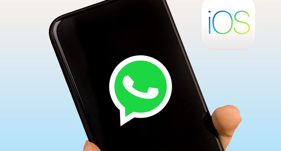 Cómo Solucionar El Que No Te Lleguen Las Notificaciones De Whatsapp En Tu Iphone Nnda Nnni 8912