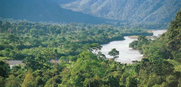 Reducir la deforestación es uno de los objetivos del programa Bosques.