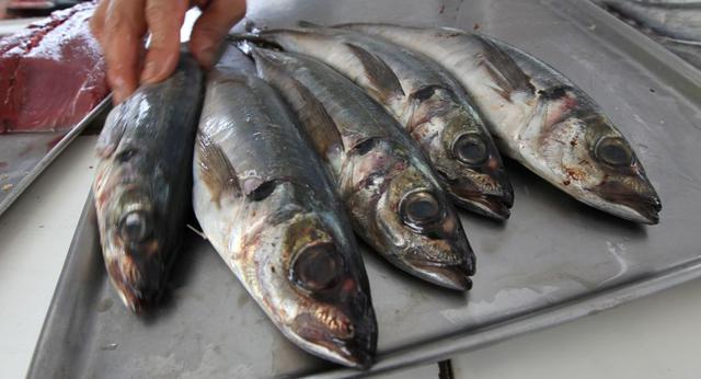 FOTO 8 | Otro producto que subió mucho en setiembre fue el juren con un alza de 5.6%. (Foto: USI)