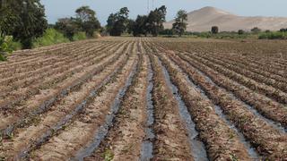 Ante déficit de lluvias, reservorios hídricos sostendrán próximas campañas de cultivo