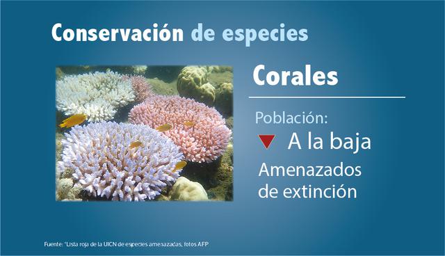 Conservación de especies