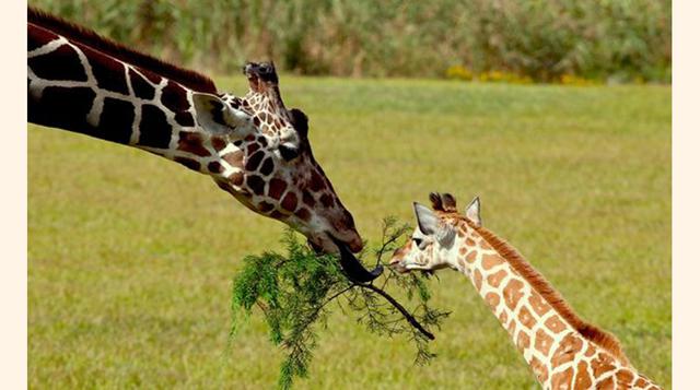 Cape May County Park
