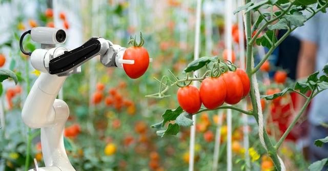 FOTO 7 | 7. TECNOLOGÍA RPA (Foto: Getty)