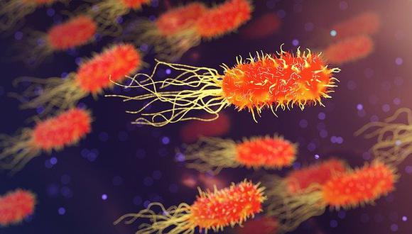 Más del 75% de las muertes bacterianas se debieron a tres síndromes: infecciones de las vías respiratorias inferiores (LRI, en inglés), infecciones del torrente sanguíneo (BSI) e infecciones peritoneales e intraabdominales (IAA), apunta el estudio. (Foto: Pixabay)