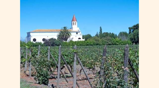 VALLE DEL MAIPO, CHILE. Valle del Maipo es el lugar más antiguo y tradicional de producción de vino de Chile. Aquí se cultiva la Cabernet Sauvignon. Se pueden hacer tours, paseos en bicicleta, degustaciones de vino y gastronómicas, etc.