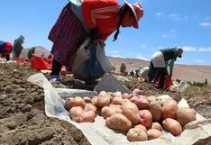 “Segunda Reforma Agraria apunta a la tecnificación e industrialización del agro”, dice ministro Maita