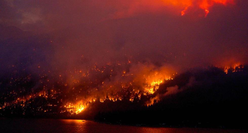 Kebakaran hutan menghantam perekonomian Kanada |  dunia