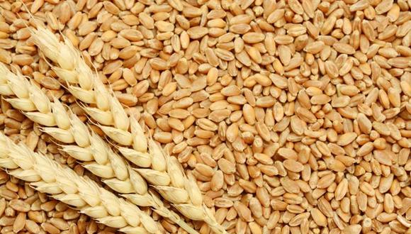 India ya ha aumentado sus exportaciones de trigo en los últimos meses y ha mantenido conversaciones sobre el suministro a países como Egipto y Líbano.
