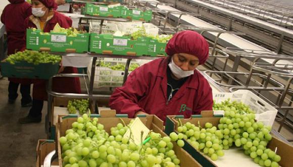 La gran mayoría de las exportaciones de productos agrarios se realiza bajo la modalidad de venta a consignación. (Foto: Andina)