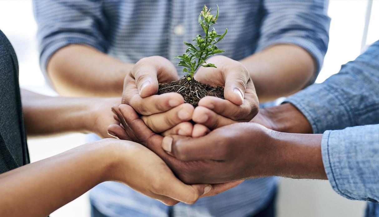 Cuidado del medio ambiente. Si una empresa emite al año 12 mil comprobantes electrónicos, contribuye directamente a evitar la tala de 57 árboles y ahorrar 180 mil litros de agua que se necesita para procesar la madera.