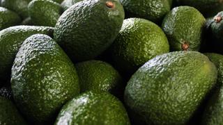 Expertos afirman que EE.UU. podría buscar paltas hass más allá de los aguacates de México