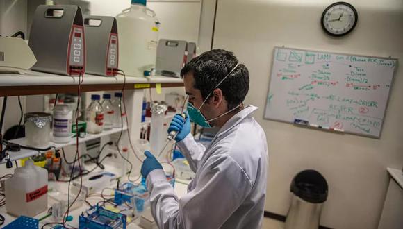 Un científico trabaja en el Laboratorio de Neurobiología de la Universidad Cayetano Heredia, el 27 de junio de 2020 en Lima. (Foto: AFP)