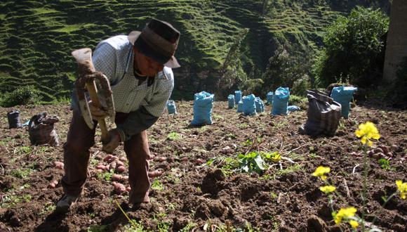“La segunda reforma agraria no implica la expropiación de tierras", dijo Mirtha Vásquez, titular de la Presidencia del Consejo de Ministros. (Foto: GEC)