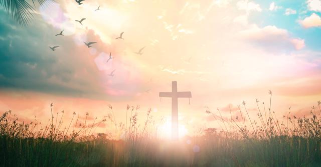 FOTO 3 | 3. Investigación cualitativa (Foto: iStock)