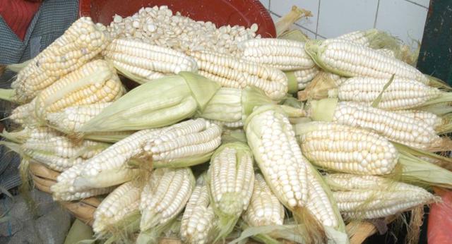 FOTO 4 | El precio del choclo bajó en 8% en setiembre. (Foto: USI)