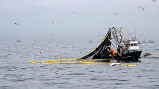Produce: Sector pesquero crecería 38% este año por mayor desembarque de anchoveta