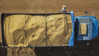 The Economist: ¿Puede Brasil ayudar con la escasez de alimentos en todo el mundo?