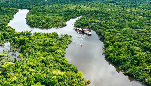 "En lugar de encontrar una solución, la nueva Ley Forestal, que viabiliza la agricultura industrial en la Amazonía, crea una nueva amenaza".