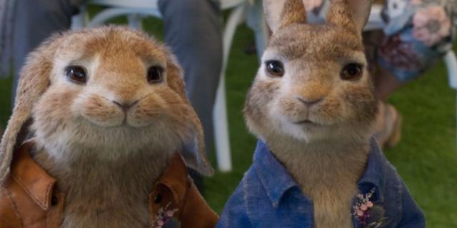 FOTO 5 | "Peter Rabbit 2: The Runaway" (ESTRENO)