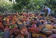 Gobierno trabaja para que cacao peruano cumpla estándares de la Unión Europea