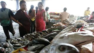 Campaña por Semana Santa llevará más de 200 toneladas de pescado a todo el país