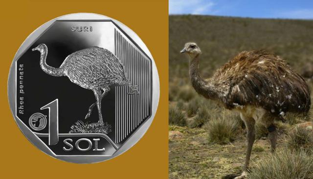 FOTO 7 | Por su parte, la séptima moneda de sol tuvo inscrita al suri. (Fuente: BCR)