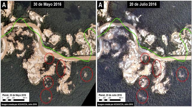 Zoom A. La imagen muestra la deforestación entre el 30 de mayo (panel izquierdo) y el 20 de julio (panel derecho) de 2016.  Los círculos rojos indican las zonas principales de nueva deforestación entre estas fechas.
