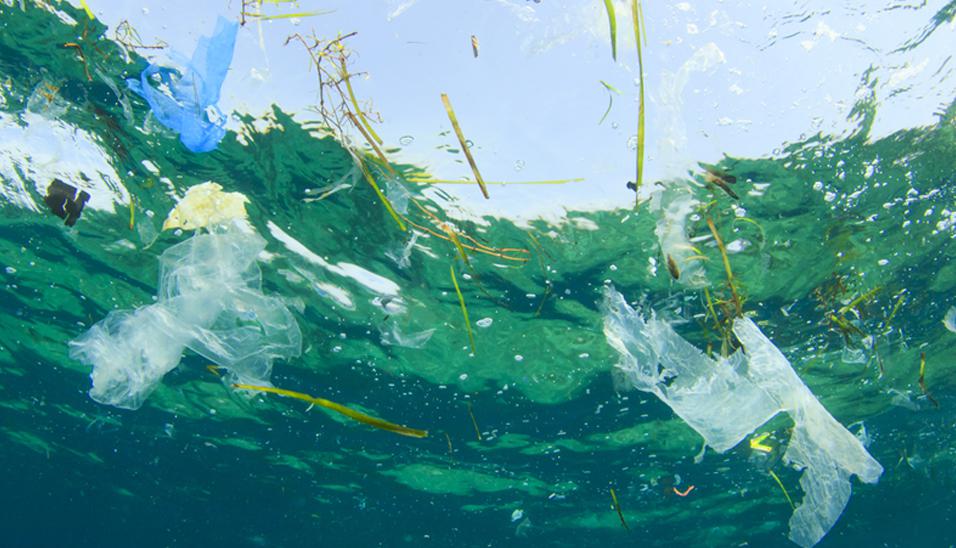 FOTO 5 | 5. Limpieza del océano.
El mundo oceánico está siendo invadido por el plástico, es un hecho. De ahí que la limpieza del océano sea una de las medidas más importantes a la hora de establecer un nuevo calendario anticontaminación. Debido principalmente a la ingente cantidad de plásticos que hay ahora mismo flotando sobre el Pacífico; que, según los expertos, tiene el mismo tamaño que Francia. (Foto: Difusión)