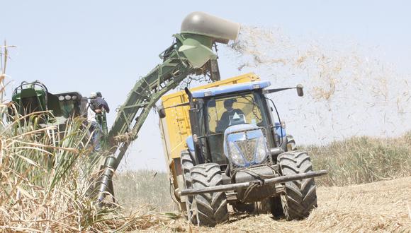 Perú cuenta con 160 mil hectáreas de cultivo de caña de azúcar.