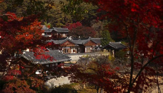 FOTO 21 | Seowon, Academias Neo-Confucianas Coreanas. Este sitio, ubicado en el centro y el sur de la República de Corea, consta de nueve seowon, que representan un tipo de academia neoconfuciana de la dinastía Joseon (siglos XV al XIX). Foto: unesco.org.