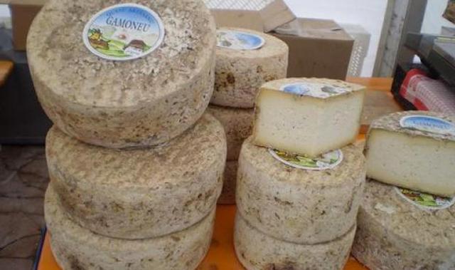 El queso de Gamonéu o queso de Gamonedo es un tipo de queso azul que se elabora en la aldea de Gamonéu, en el concejo de Onís así como en algunos lugares de Cangas de Onís en el Principado de Asturias, España. Tradicionalmente se llama quesu Gamonéu. Es u