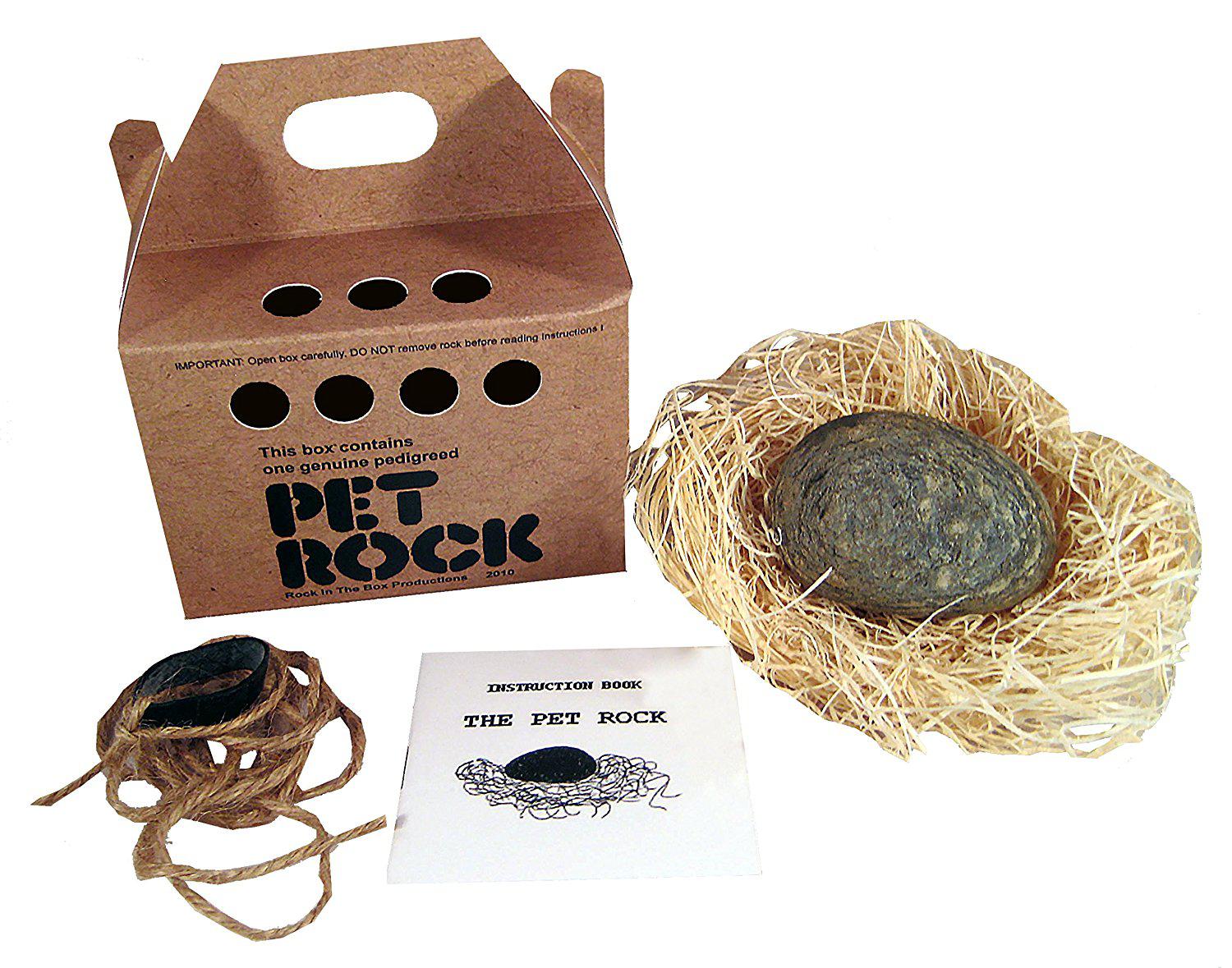 Foto 1 | THE PET ROCK. Empezaré esta lista con un ejemplo clásico: the Pet Rock. En la década de los 70, Gary Ross Dahl tuvo la idea de vender rocas a los niños bajo la premisa de que las piedras eran un tipo de mascota. Una combinación de buen empaque y publicidad brillante hicieron que el concepto de pagar por una piedra sonara razonable, y eventualmente la idea convirtió a Dahl en un millonario. (Foto: Amazon)