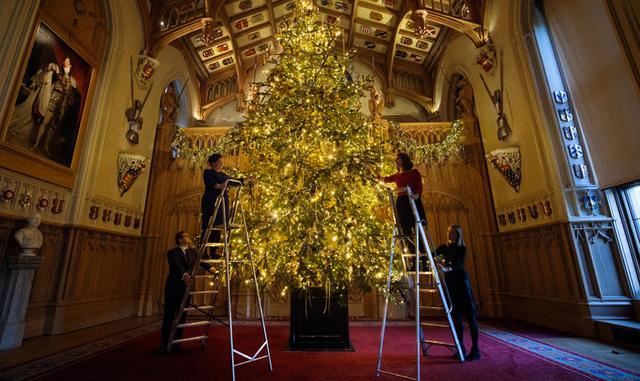 FOTO 13 |  13 Un árbol de Navidad en Palacio de Buckingham.
El personal del palacio trabaja duro para cubrir los pasillos y colgar adornos luminosos en los árboles de Navidad.