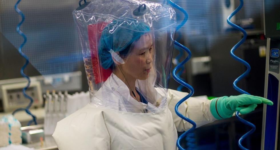 Imagen referencial. Estados Unidos cree que el coronavirus se originó en el laboratorio de Wuhan, en China. (AFP / JOHANNES EISELE).