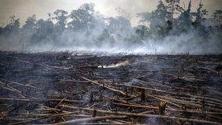 Incendios de proporciones nunca vistas devoran parte del Pantanal brasileño