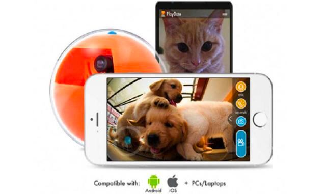 PlayDate: para interactuar con tu mascota desde cualquier lugar del mundo. Kevin Li es el CEO de la startup neoyorkina Playdate , empresa que ha diseñado la pelota Ketchup On que lleva incorporada una cámara de vídeo para que puedas interactuar con tu mas