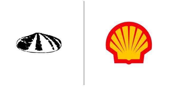 Shell. La primera concha se elaboró en el año 1900. La empresa luego diseño la colorida concha en vertical para crear una marca más reconocible. Con pocas alteraciones, el logotipo como se conoce hoy en día fue lanzado en 1999.