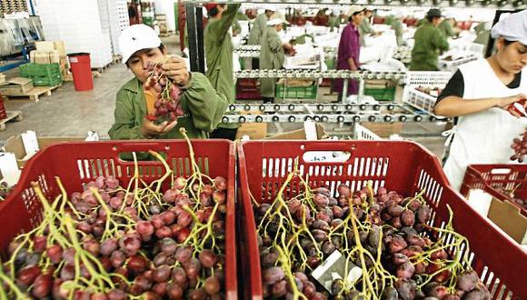 De acuerdo al reporte de la Intendencia Aduana de Paita, el año pasado la región exportó uvas frescas por US$ 455 millones. (Foto: GEC)