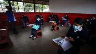 Uno de cada 4 niños estudia en zonas rurales en Perú, los retos para los programas de aceleración