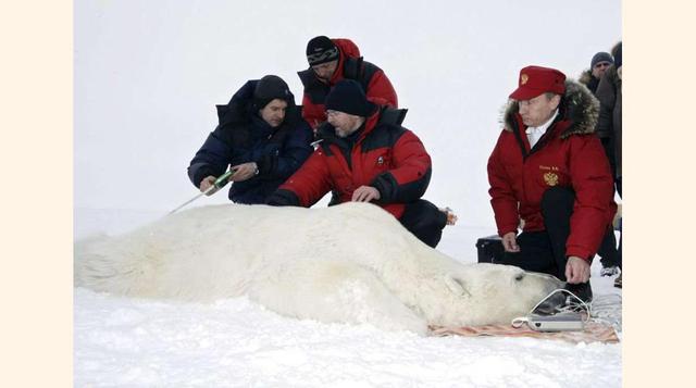 FOTO 3 | Visita al centro de investigación del oso polar Alexandra Land en la península de Baréin, en 2012.