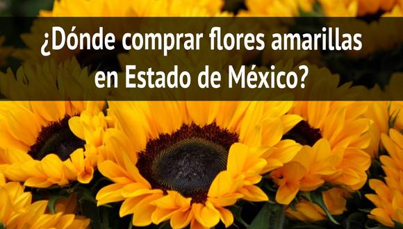 Consulta dónde comprar flores amarillas en el Estado de México para regalar este 21 de marzo, por el día de la primavera (Foto: Pexels / Composición Mix)