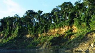 Parque Nacional del Manu impone nuevo récord de biodiversidad