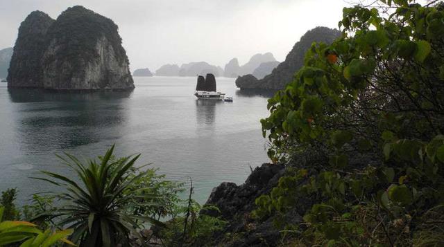 Bahía de Halong (Vietnam): Patrimonio de la Humanidad desde 2012, sus islas reciben nombres insólitos como Voi Islet (elefante), Ga Choi Islet (gallo de pelea) o Mai Nha Islet (techo) dependiendo de sus formas, o lo que éstas inspiraban a los pescadores d
