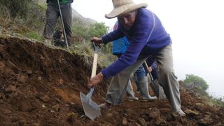 Fertiabono II: Conoce el cronograma de pago para los pequeños productores