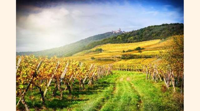 ALSALCIA, FRANCIA. Alsalcia es una mezcla de tradición, patrimonio, romanticismo y cultura que contrasta a la perfección con su naturaleza repleta de viñedos.