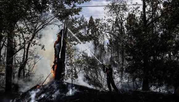 En 2022, España presenció 500 fuegos que devoraron más de 300.000 hectáreas. (Foto: AFP)