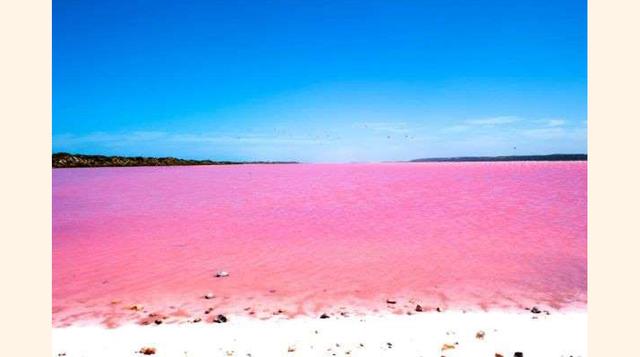 Lago Hillier de Color Rosado, Australia. En la isla de Middle, cerca de la costa de Esperance en Australia, se encuentra un fantástico lago de color rosado. Este color rosa chicle se debe a un tipo de bacterias que sobreviven en las orillas saladas del la