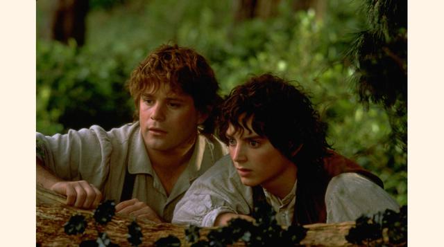 El Señor de los Anillos: La Comunidad del Anillo. En el 2001, la película que tiene la mejor votación entre los usuarios de IMDB es la primera parte de la trilogía de J.R.R. Tolkien, llevada al cine bajo la dirección de Peter Jackson. Cuenta con un promed